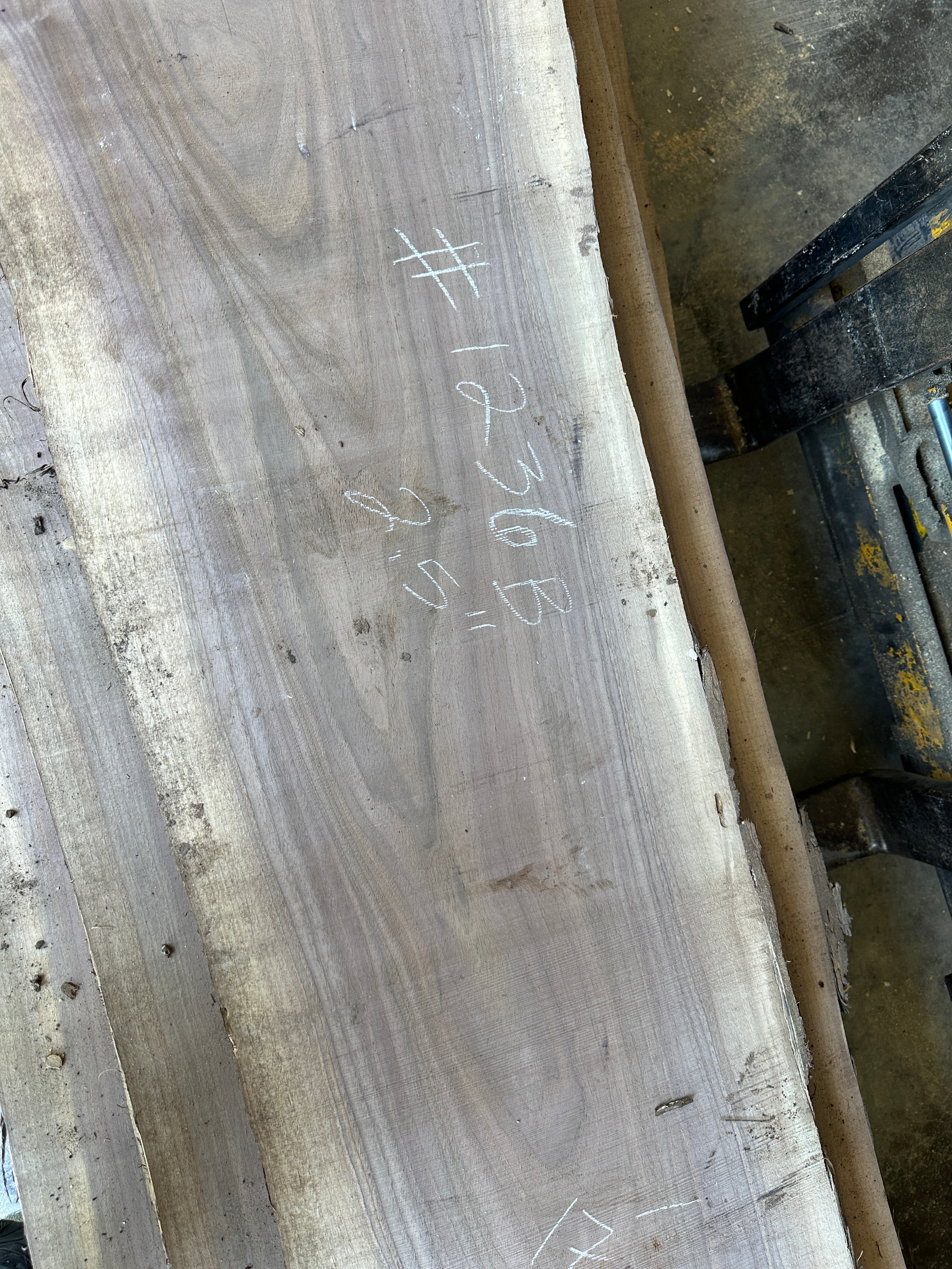 Black Walnut