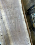 Black Walnut