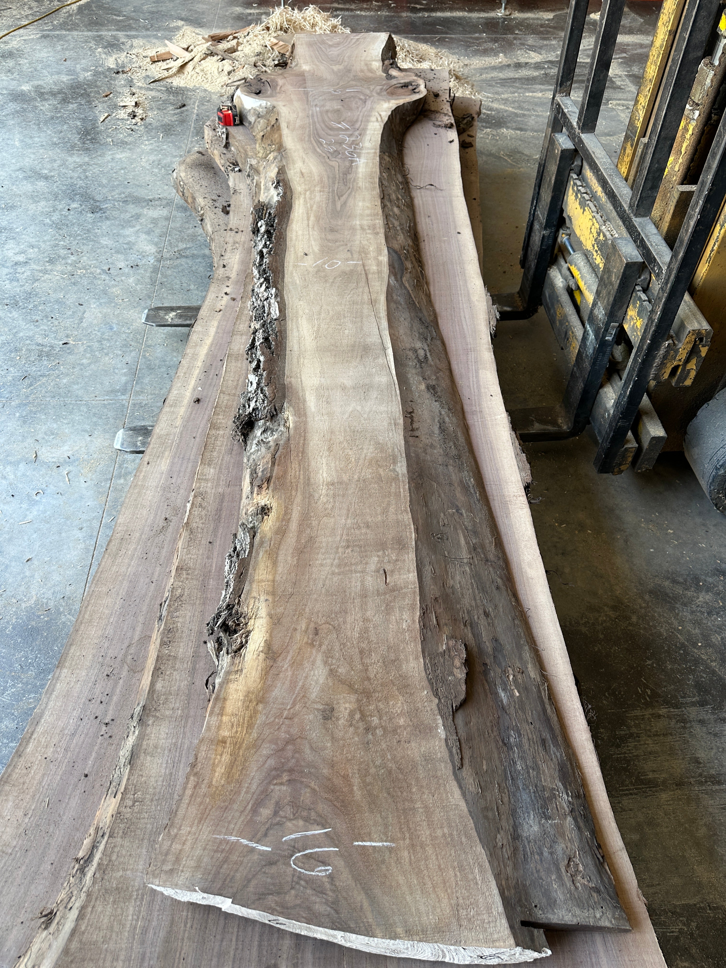 Black Walnut