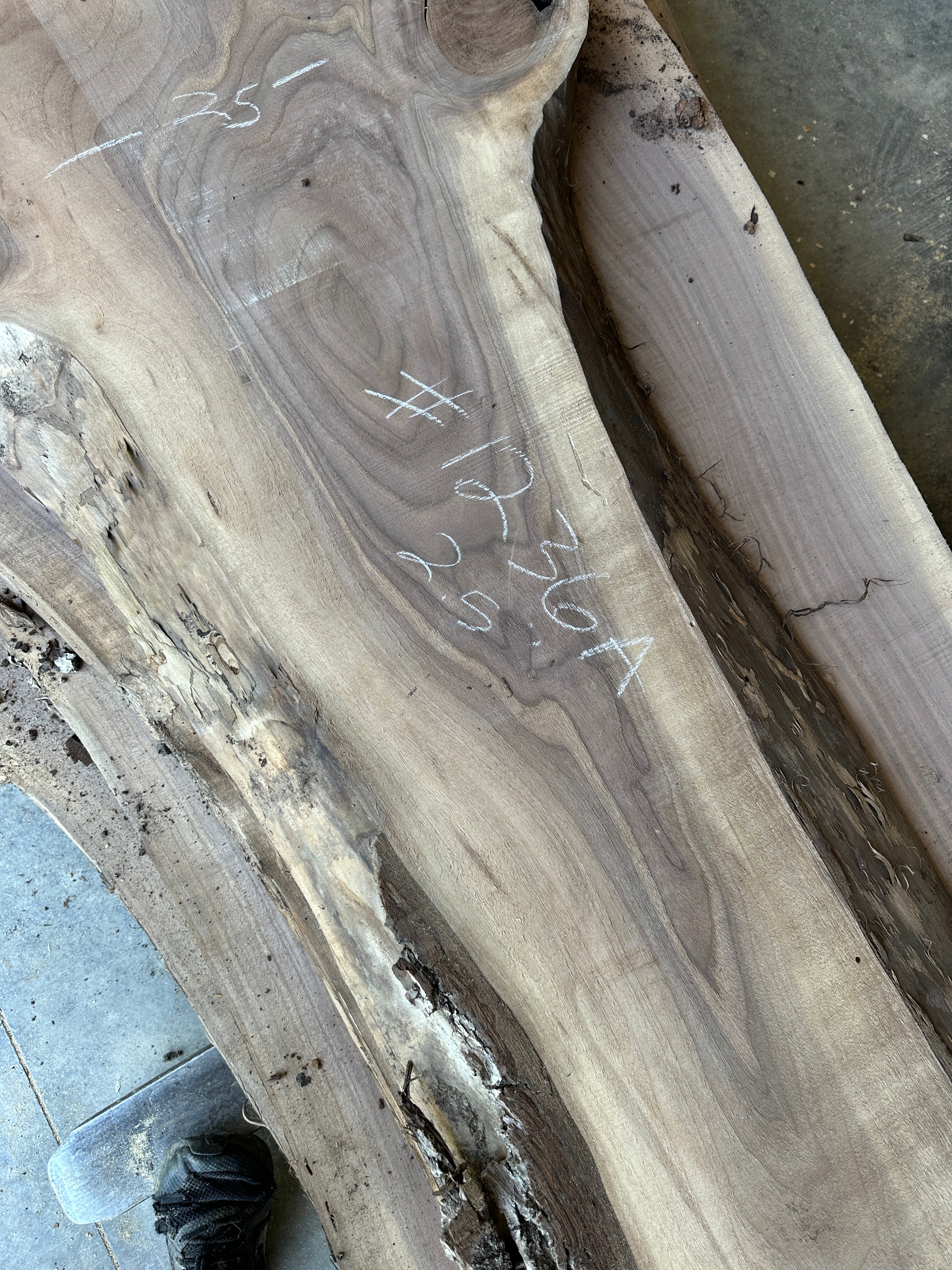 Black Walnut