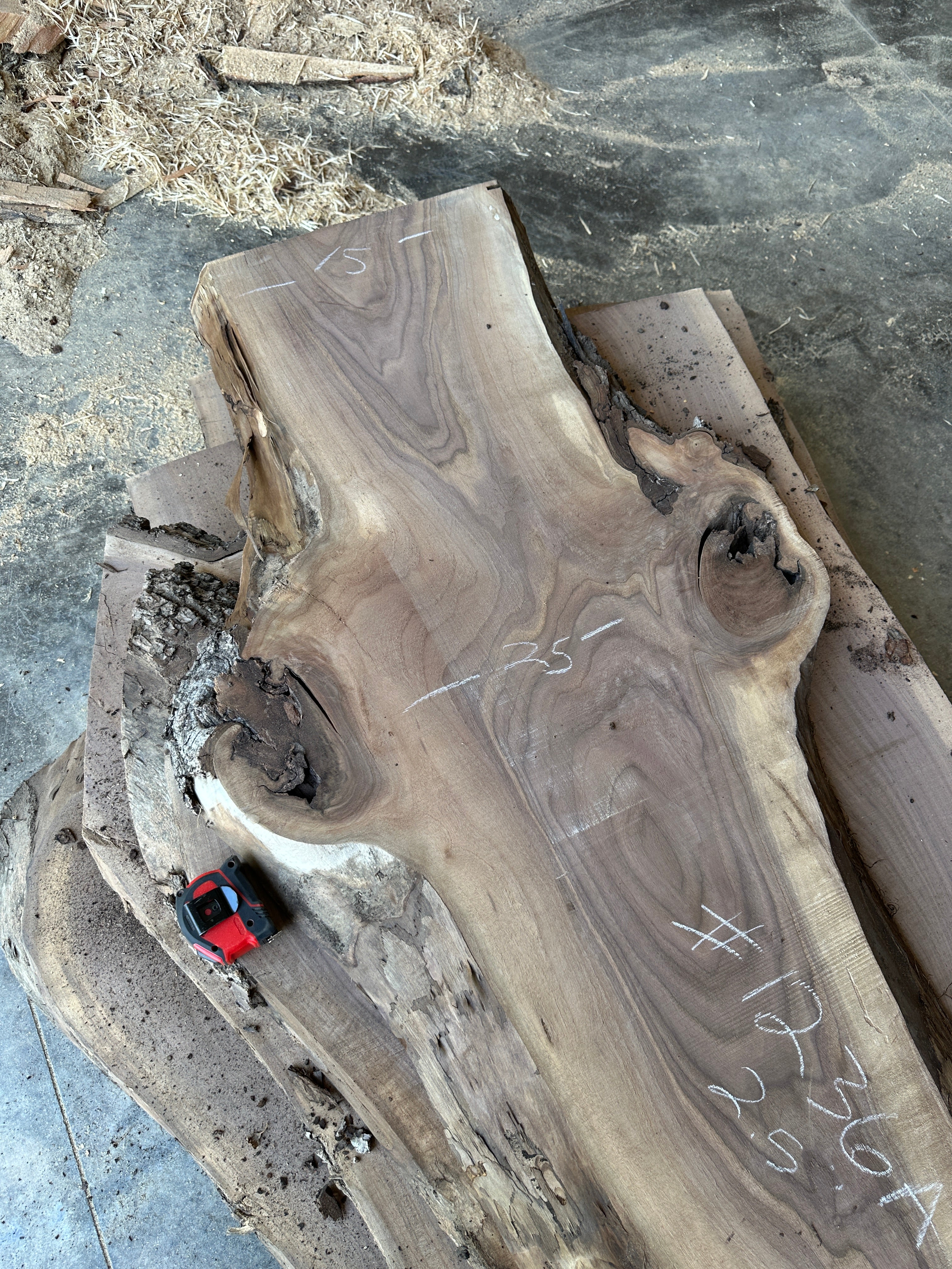 Black Walnut