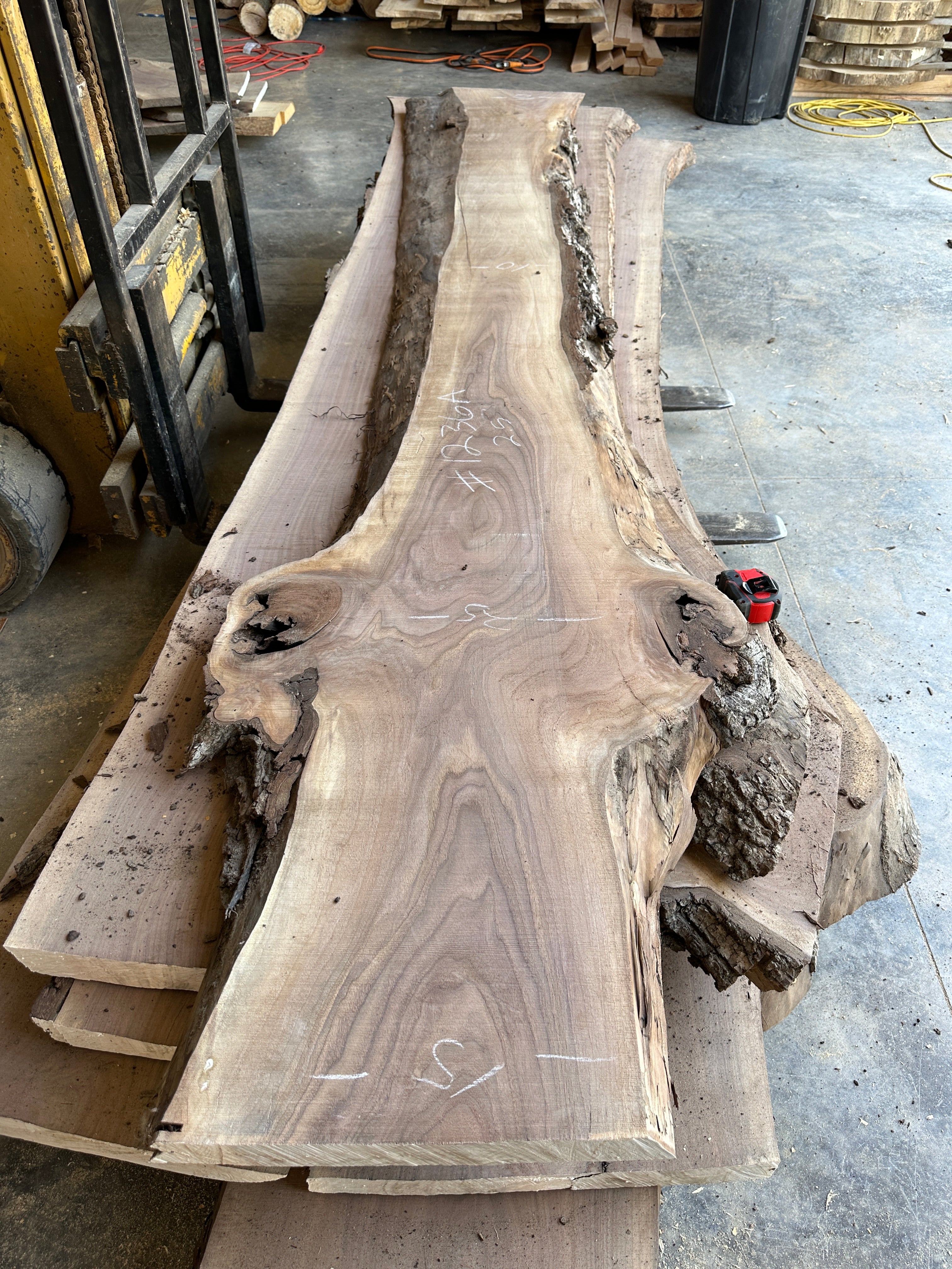 Black Walnut