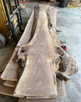 Black Walnut