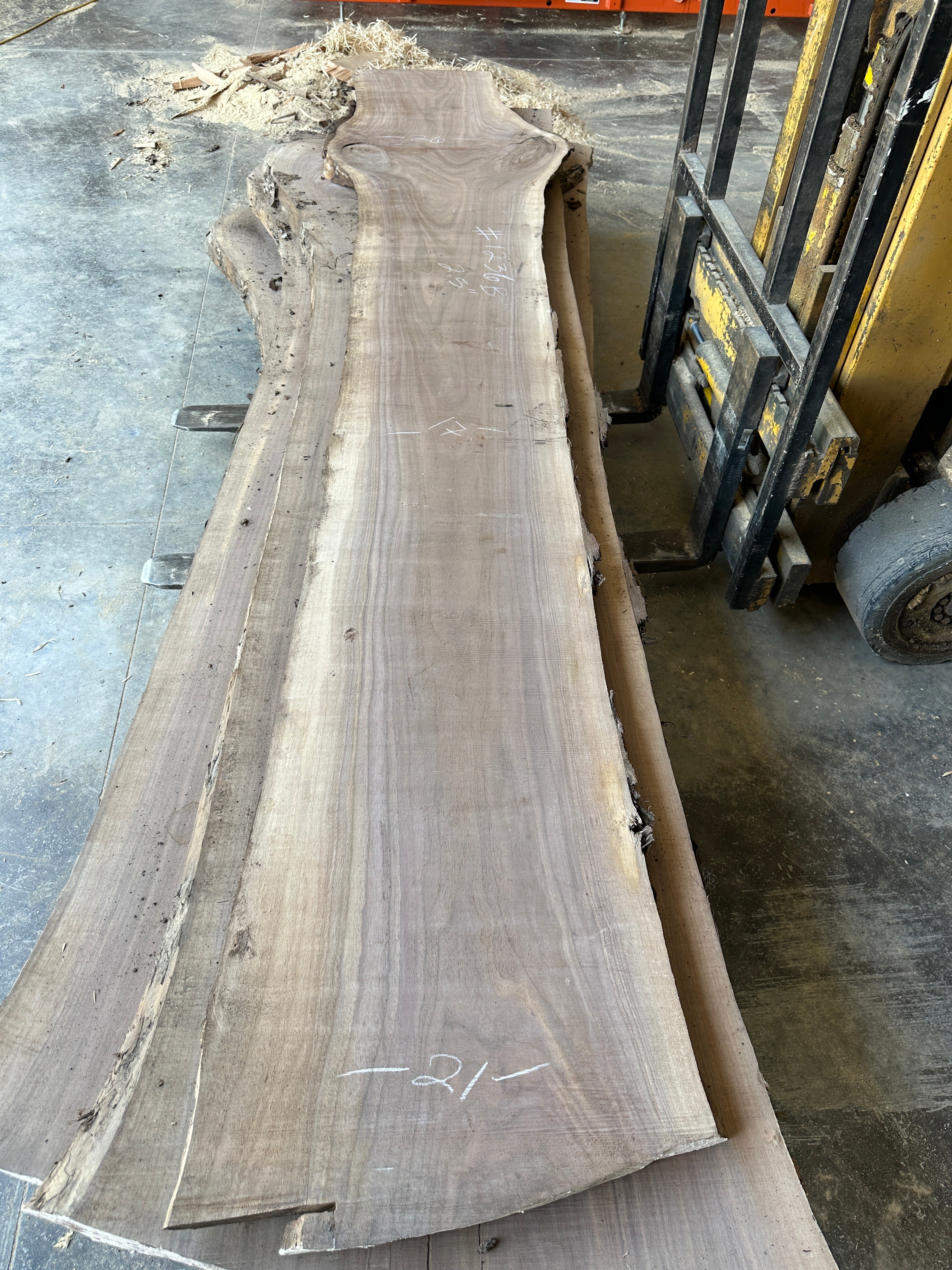 Black Walnut