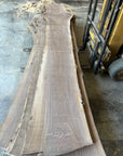 Black Walnut