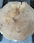 Elm cookie live-edge slab