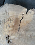 Elm cookie live-edge slab