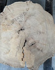 Elm cookie live-edge slab