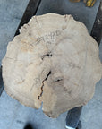 Elm cookie live-edge slab