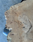 Elm cookie live-edge slab