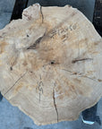 Elm cookie live-edge slab