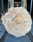 Elm cookie live-edge slab