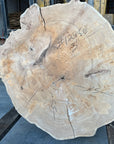 Elm cookie live-edge slab