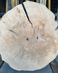 Elm cookie live-edge slab