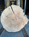 Elm cookie live-edge slab