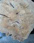 Elm cookie live-edge slab