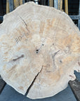 Elm cookie live-edge slab
