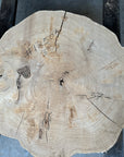 Elm cookie live-edge slab