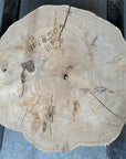 Elm cookie live-edge slab