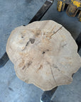 Elm cookie live-edge slab