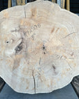Elm cookie live-edge slab