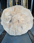 Elm cookie live-edge slab