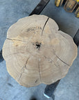 Elm cookie live-edge slab