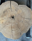 Elm cookie live-edge slab