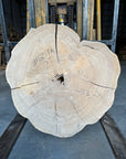 Elm cookie live-edge slab