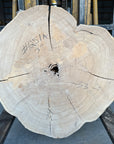 Elm cookie live-edge slab
