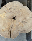 Elm cookie live-edge slab