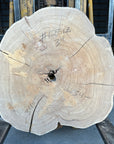 Elm cookie live-edge slab