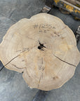 Elm Live-edge cookie slab