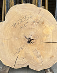 Elm Live-edge cookie slab
