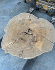 Elm Live-edge cookie slab