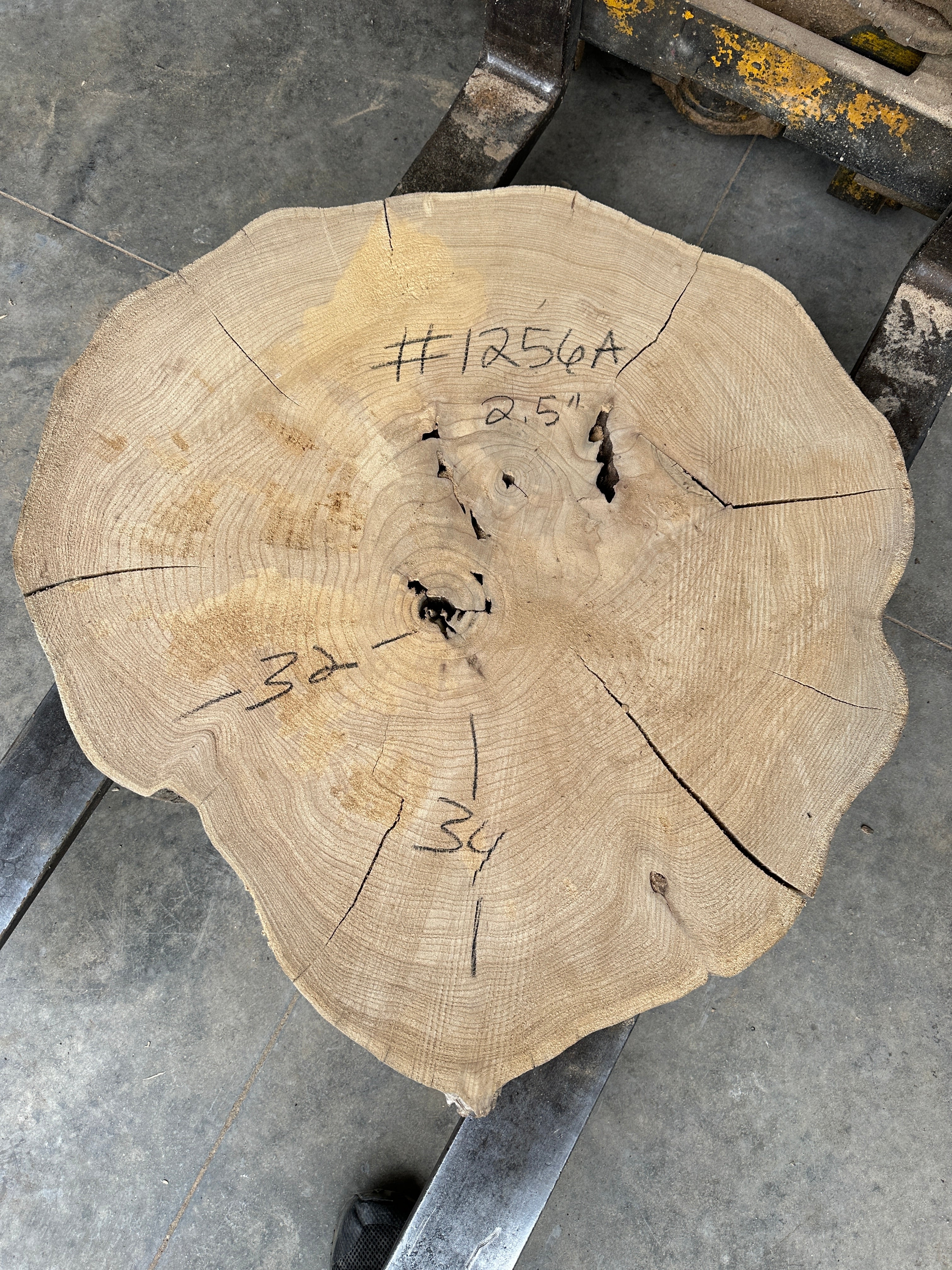 Elm Live-edge cookie slab