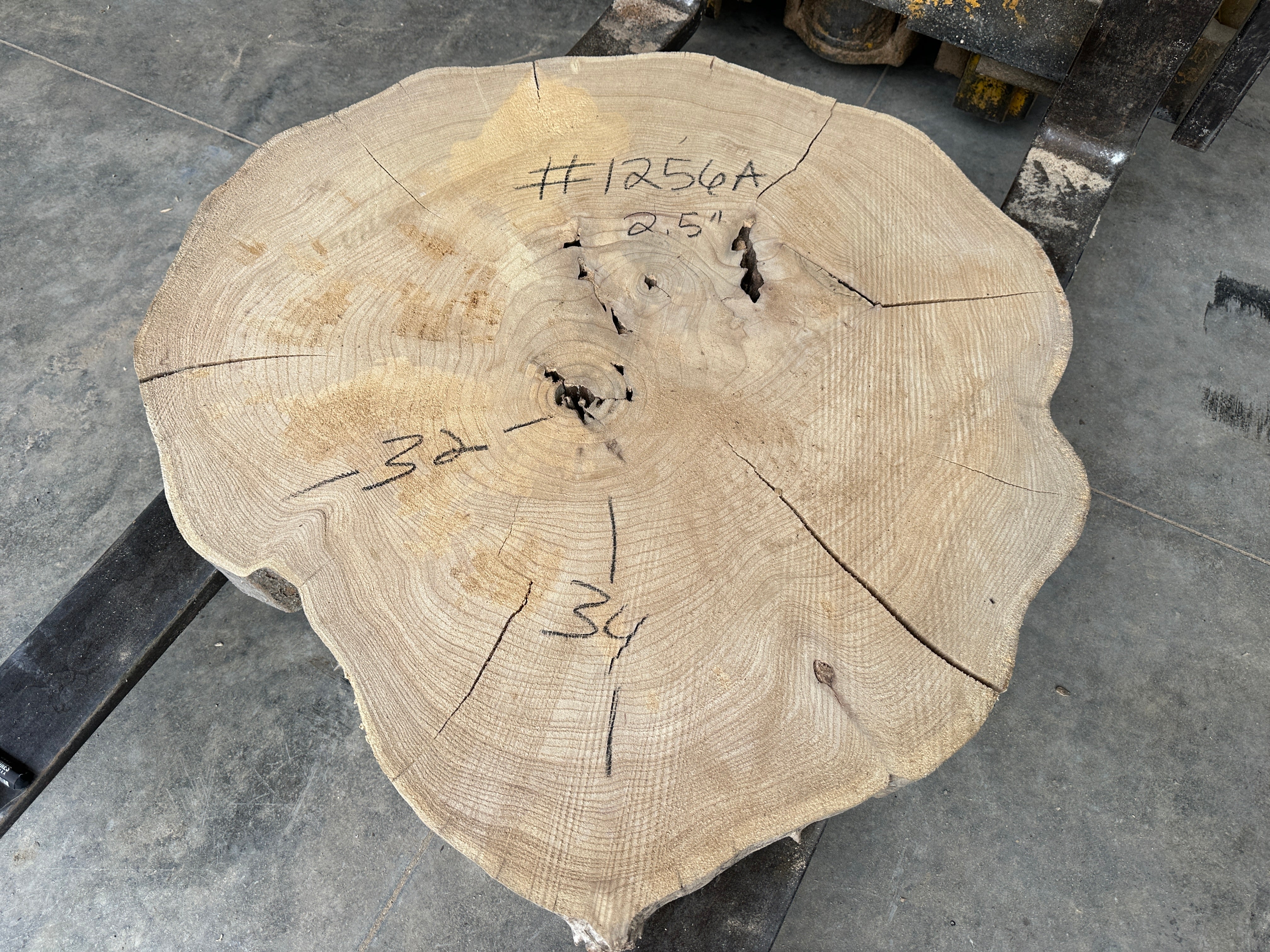 Elm Live-edge cookie slab