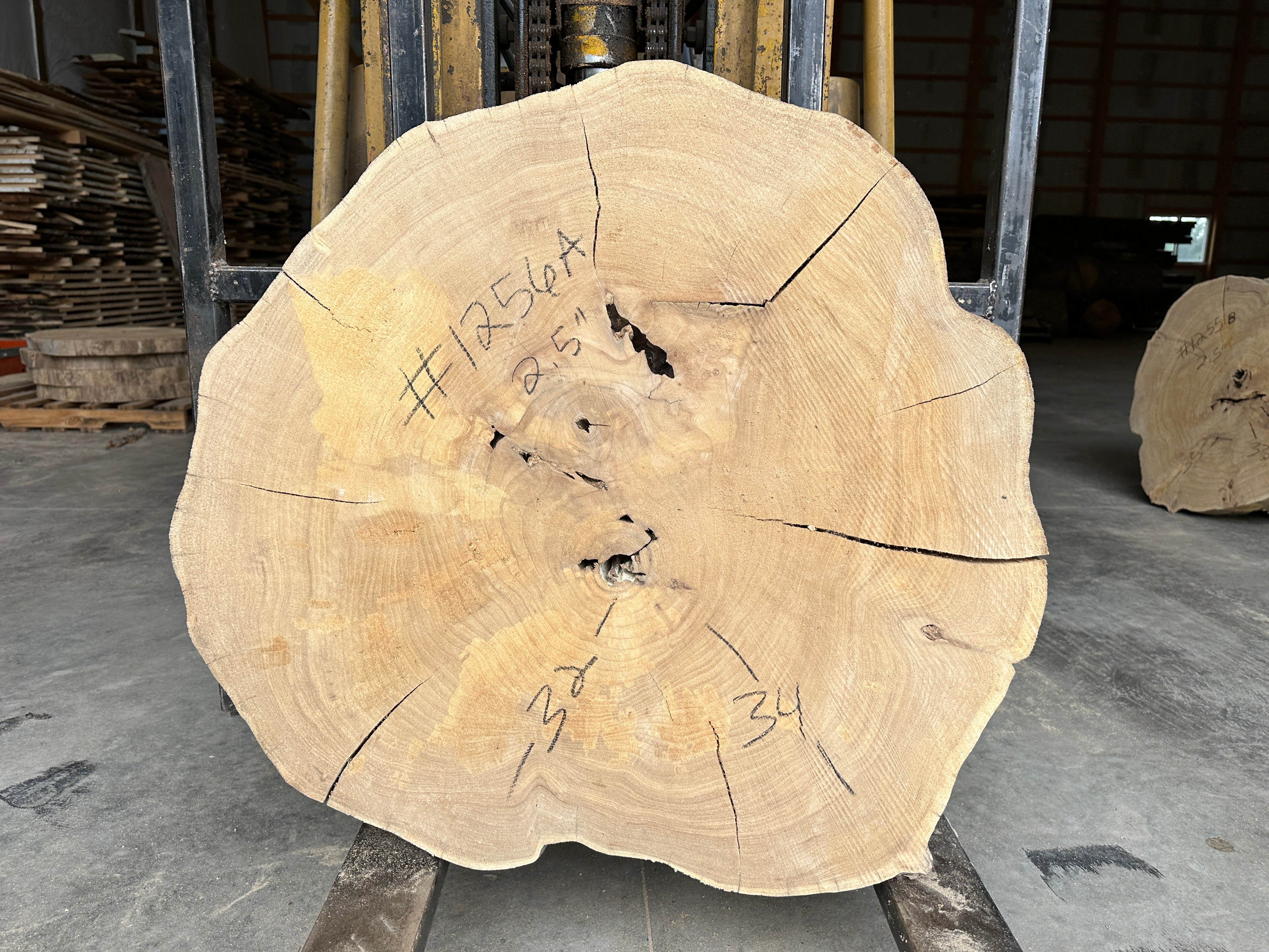 Elm Live-edge cookie slab