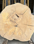 Elm Live-edge cookie slab