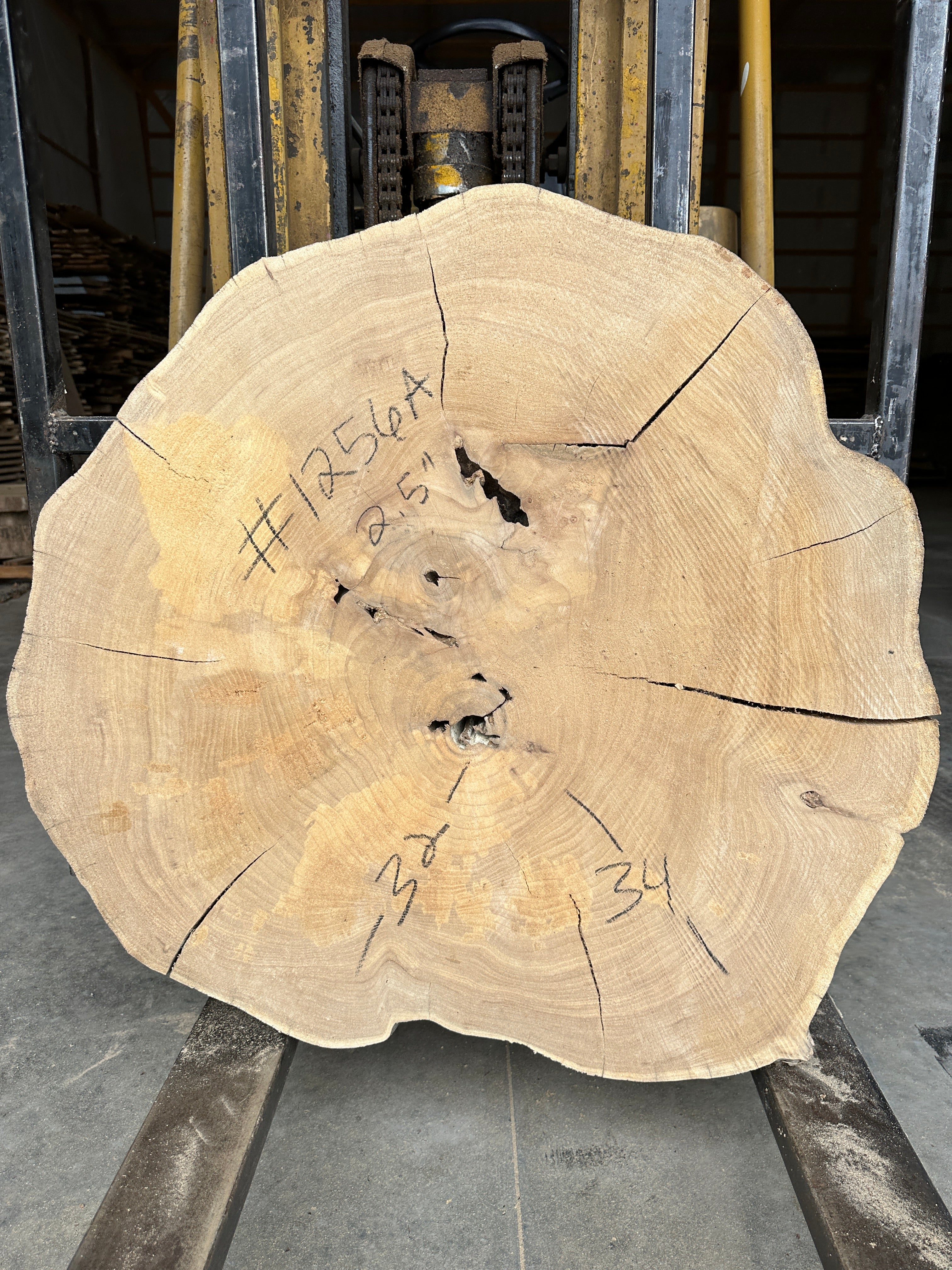 Elm Live-edge cookie slab