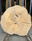 Elm Live-edge cookie slab