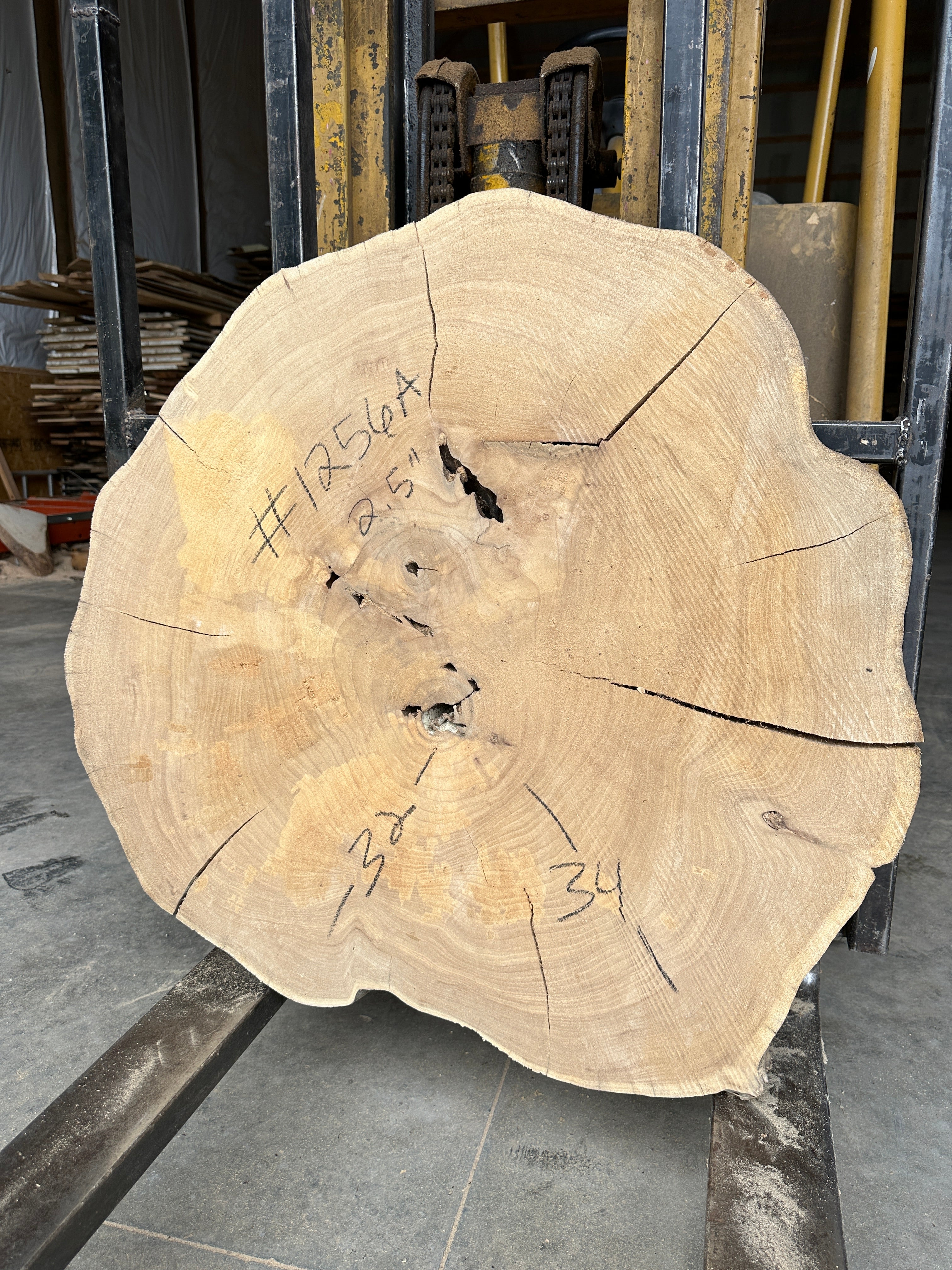 Elm Live-edge cookie slab