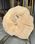 Elm Live-edge cookie slab