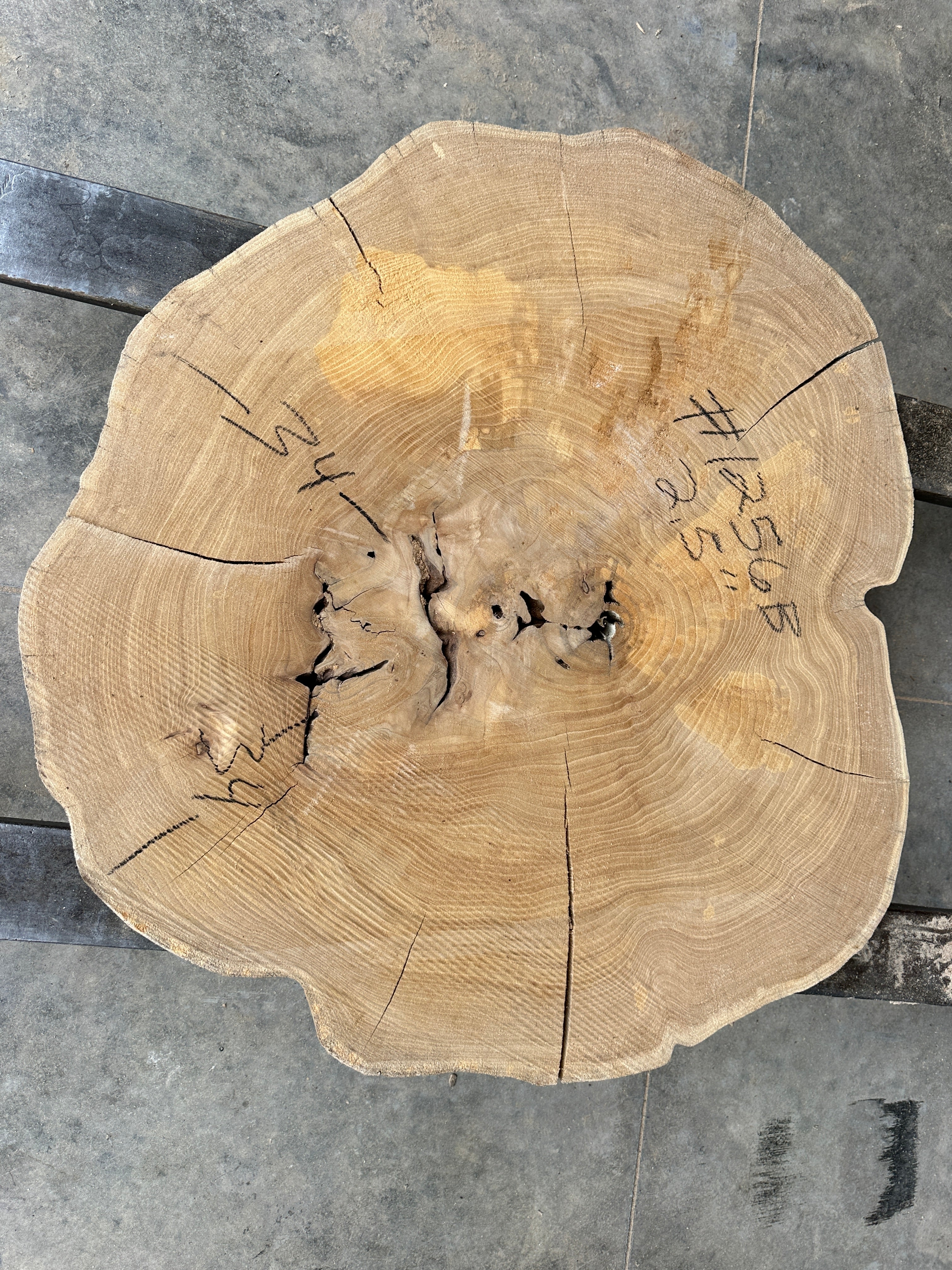 Elm Live-edge cookie slab