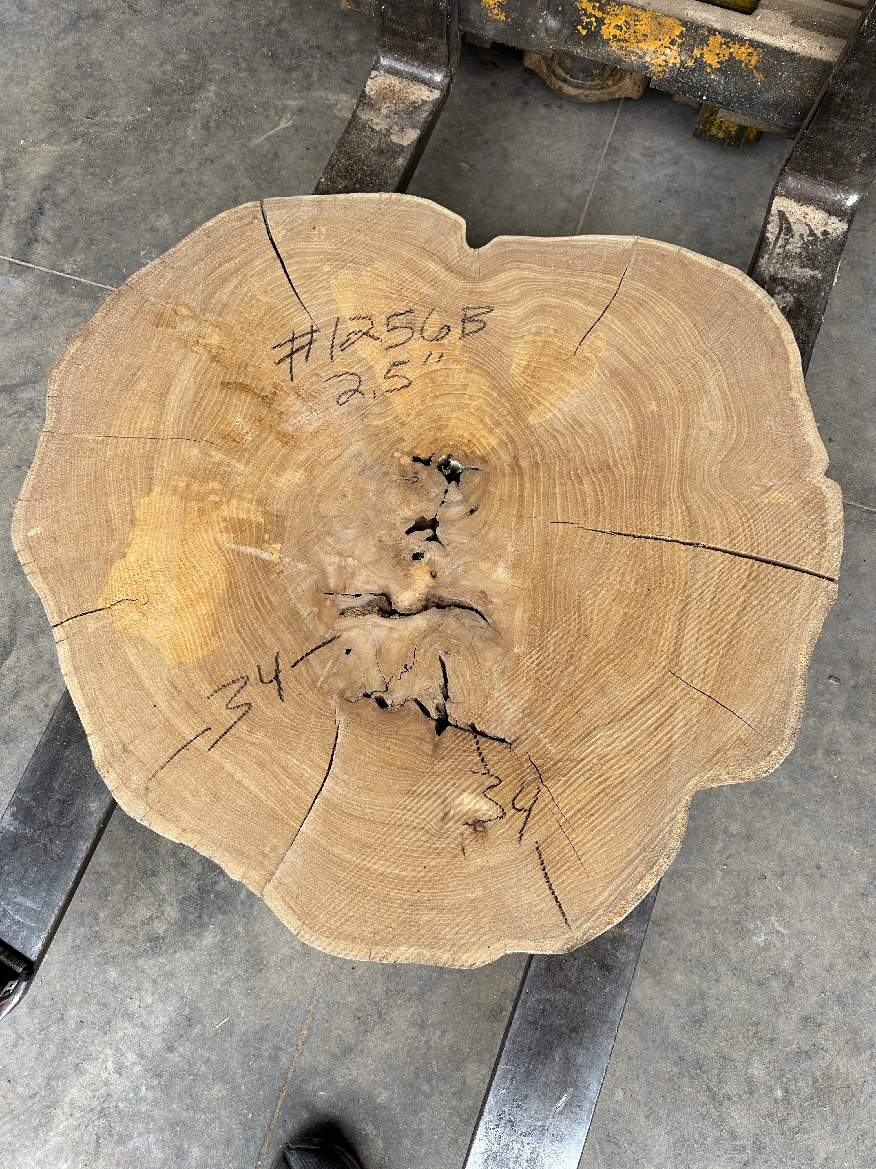 Elm Live-edge cookie slab