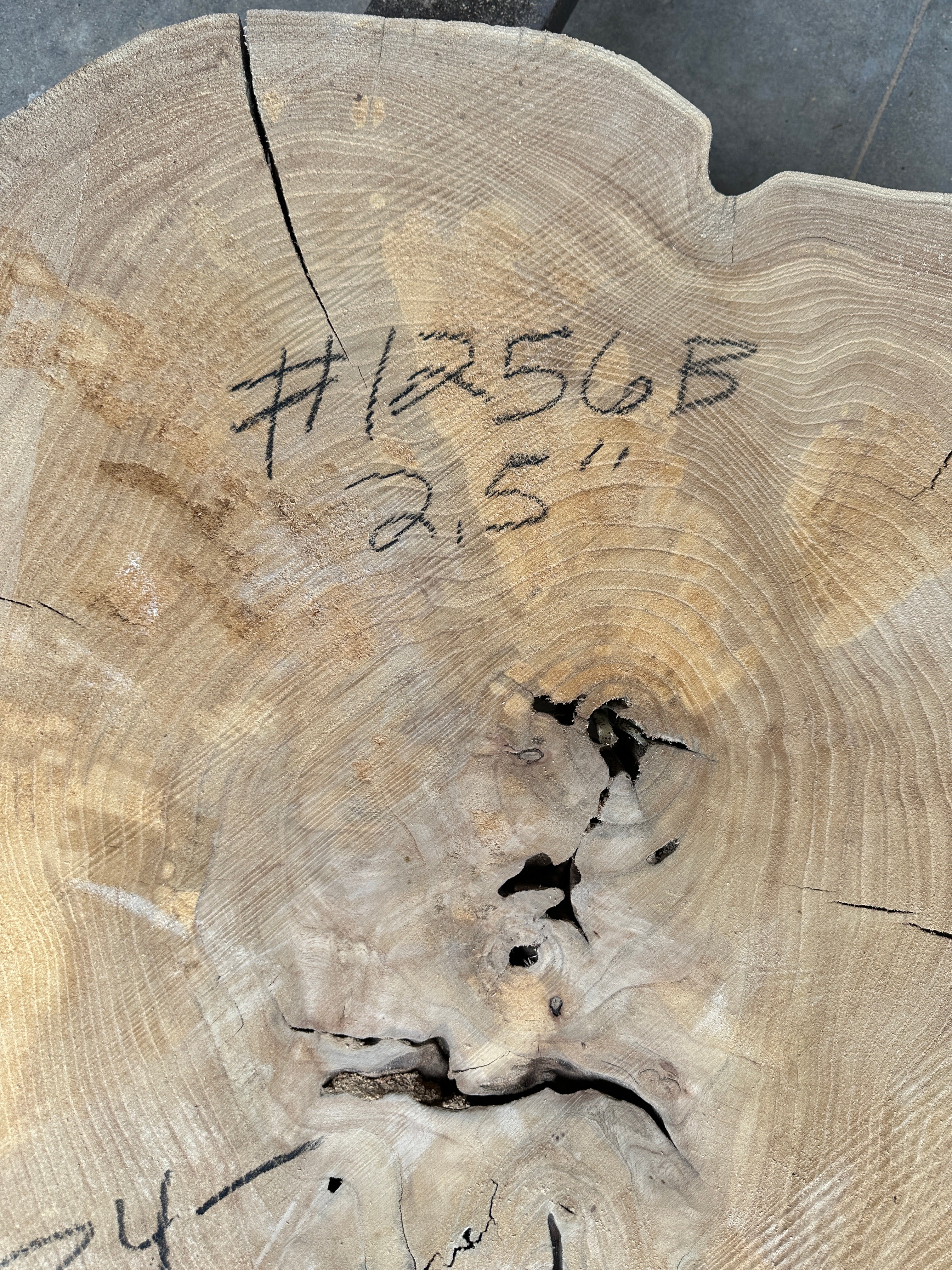 Elm Live-edge cookie slab