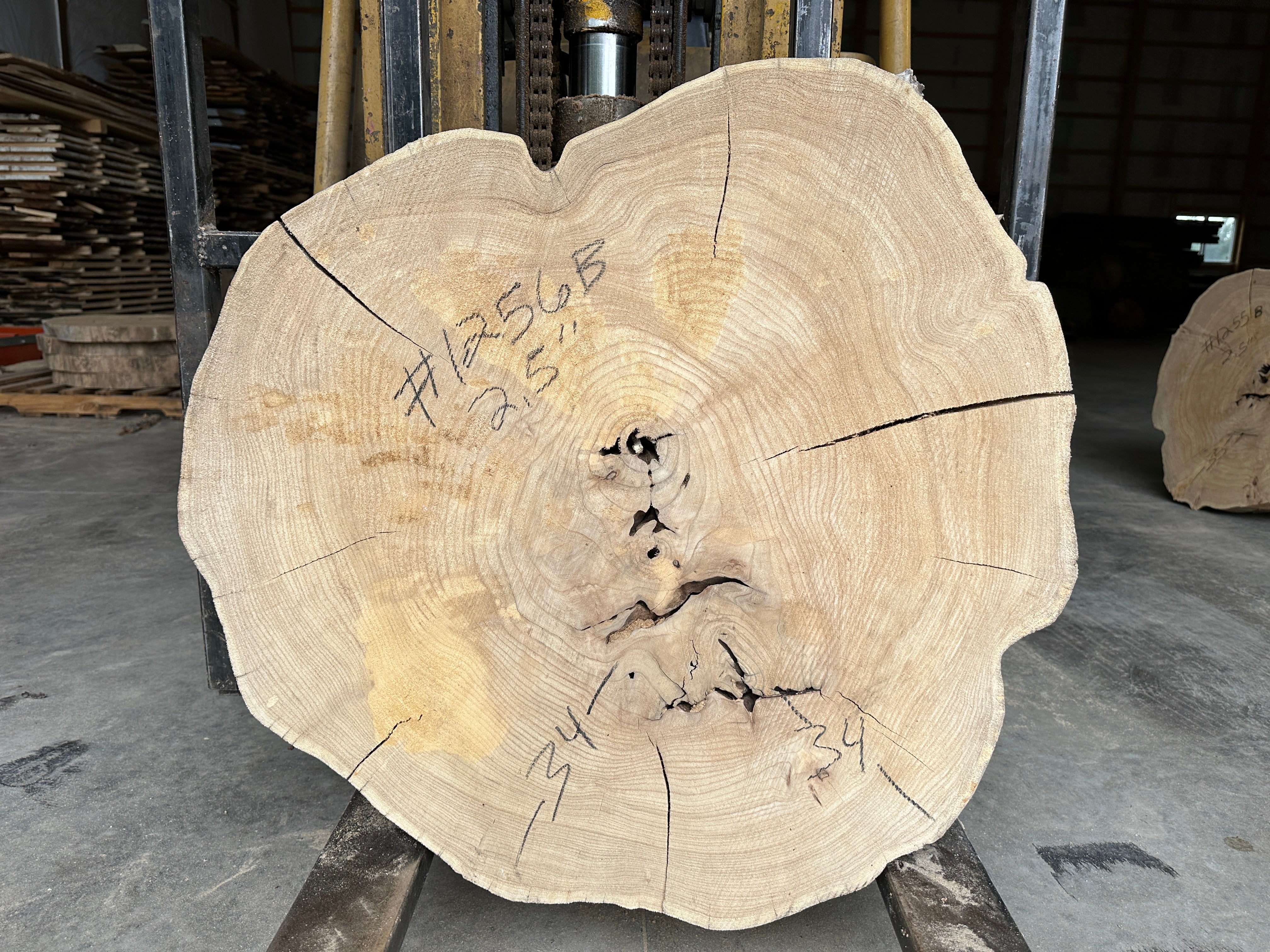 Elm Live-edge cookie slab