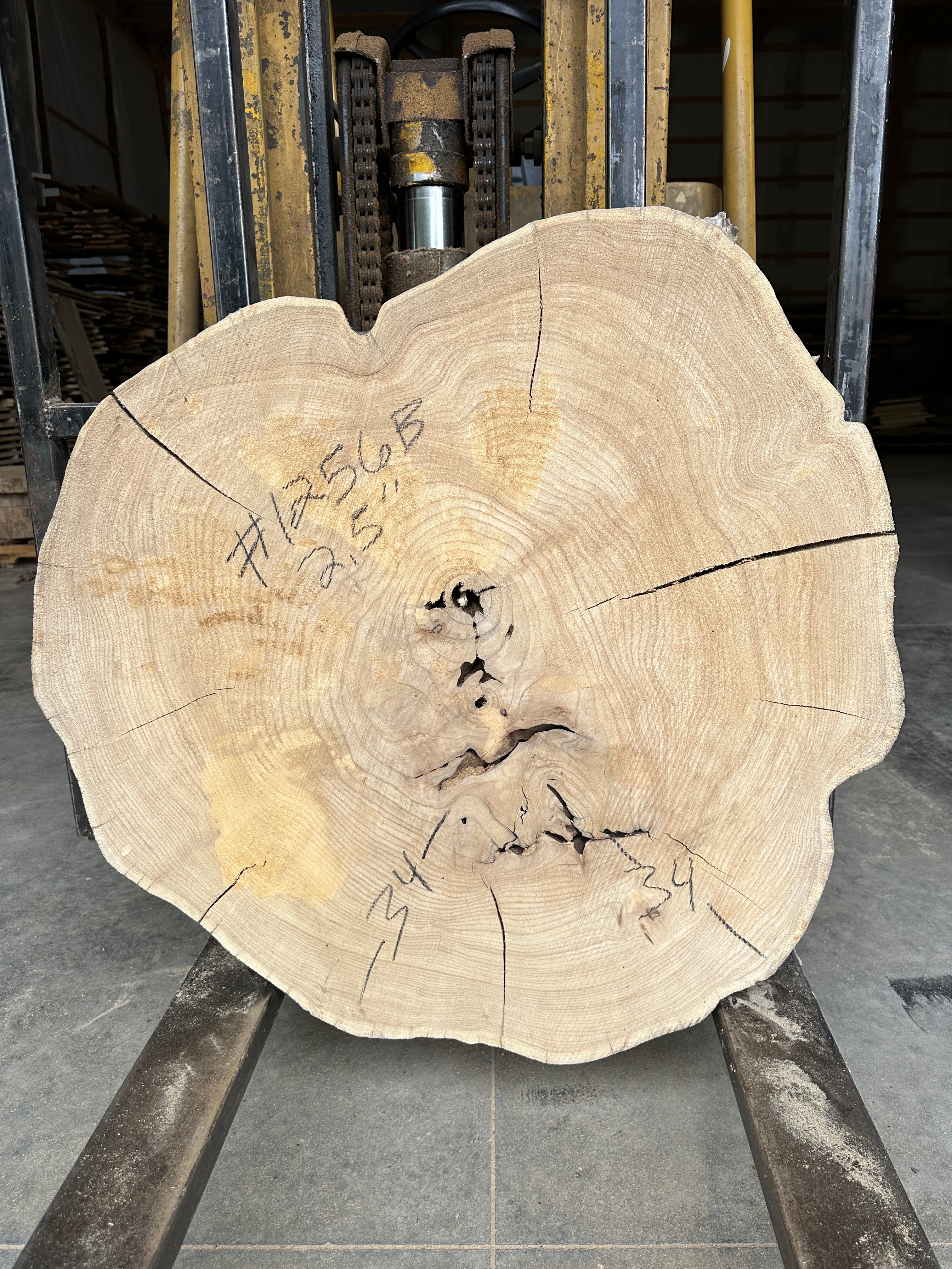 Elm Live-edge cookie slab