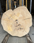 Elm Live-edge cookie slab