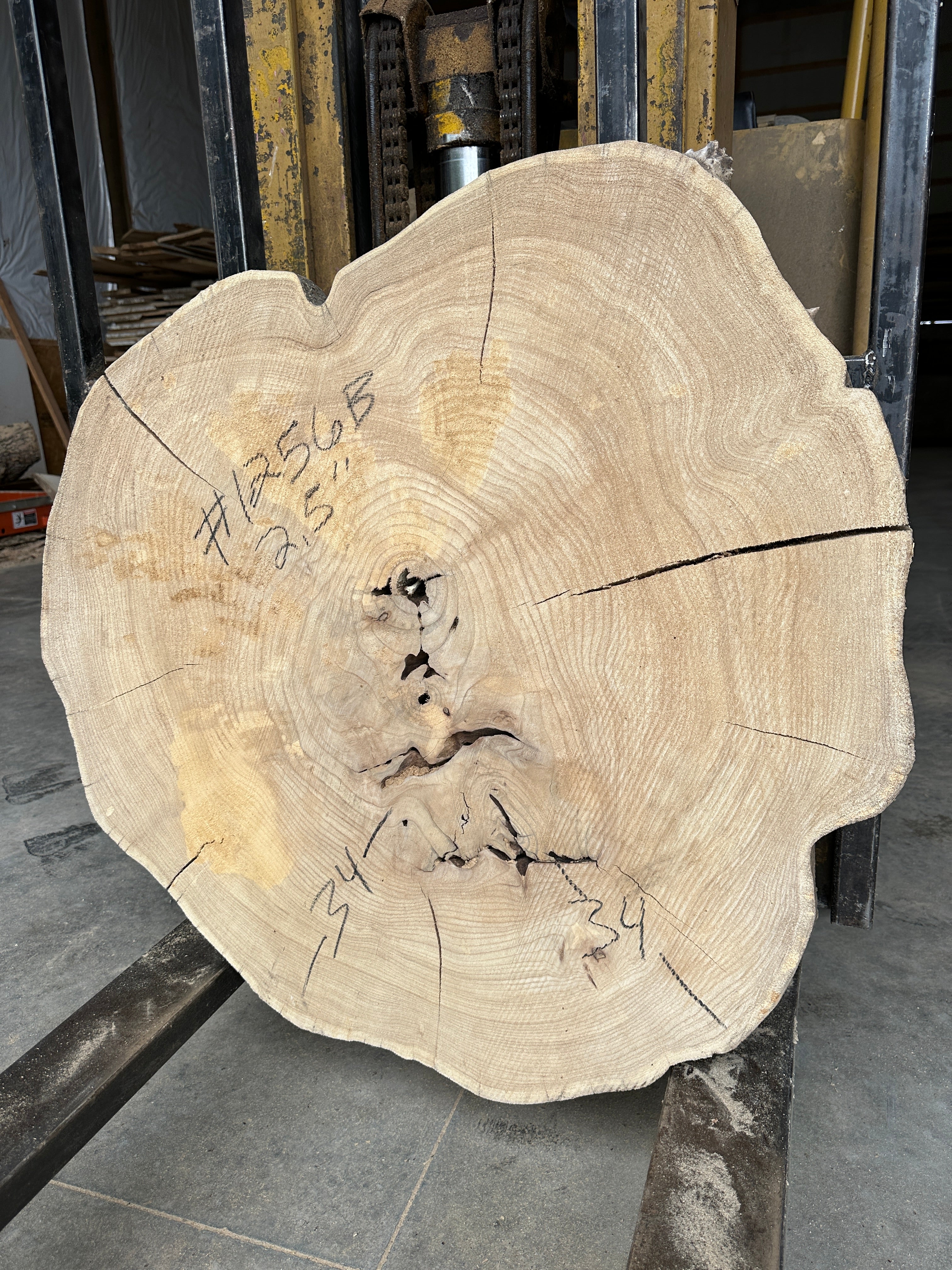 Elm Live-edge cookie slab